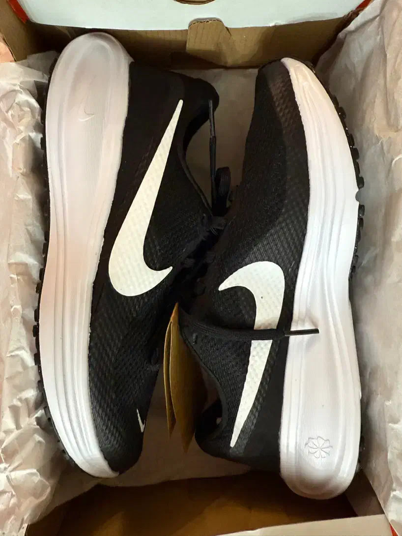 کتونی اوریجینال|کیف، کفش، کمربند|قائمشهر, |دیوار