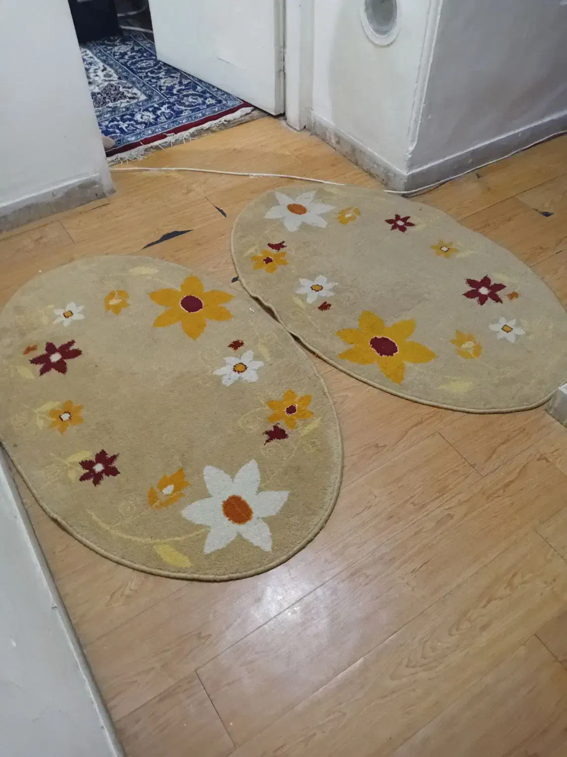 دو جفت پادری|پادری|کرج, فاز ۴ مهرشهر|دیوار