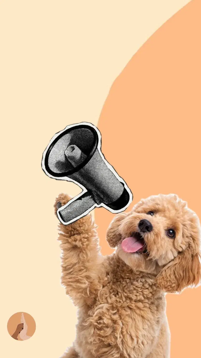 سگ پیدا شده اصفهان|حیوانات|اصفهان, باغ فدک|دیوار