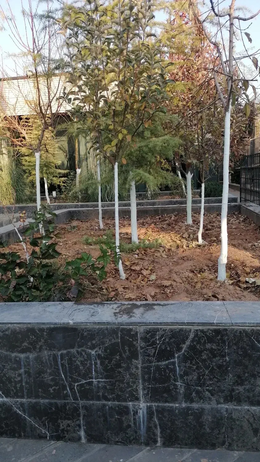 باغ بانی حرص کاری قاچ کشی|خدمات باغبانی و درختکاری|دماوند, دماوند|دیوار