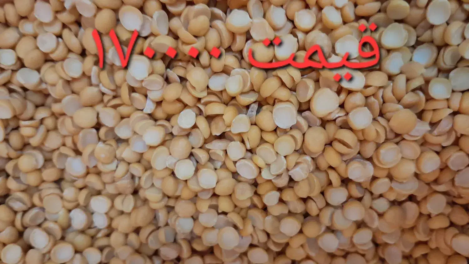 فروش لپه ایرانی|حراج|نقده, |دیوار