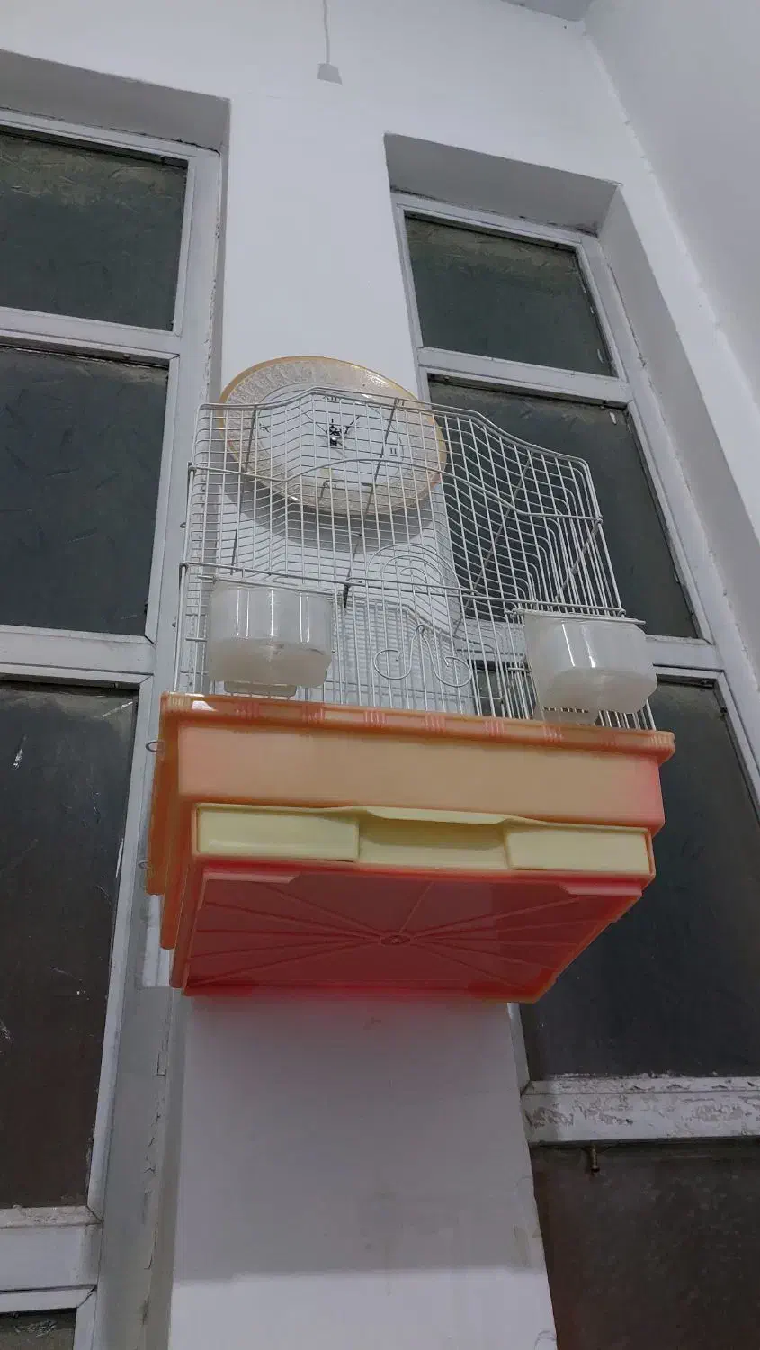 یک عدد قفس قناری با همه وسائل|لوازم جانبی حیوانات|قم, خندق|دیوار