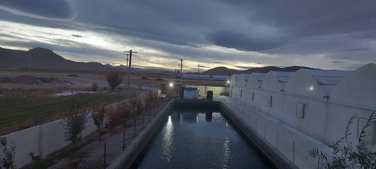 زمین گلخانه مجوزدار با آب مکفی و امکانات|فروش دفتر صنعتی، کشاورزی، تجاری|دهاقان, |دیوار