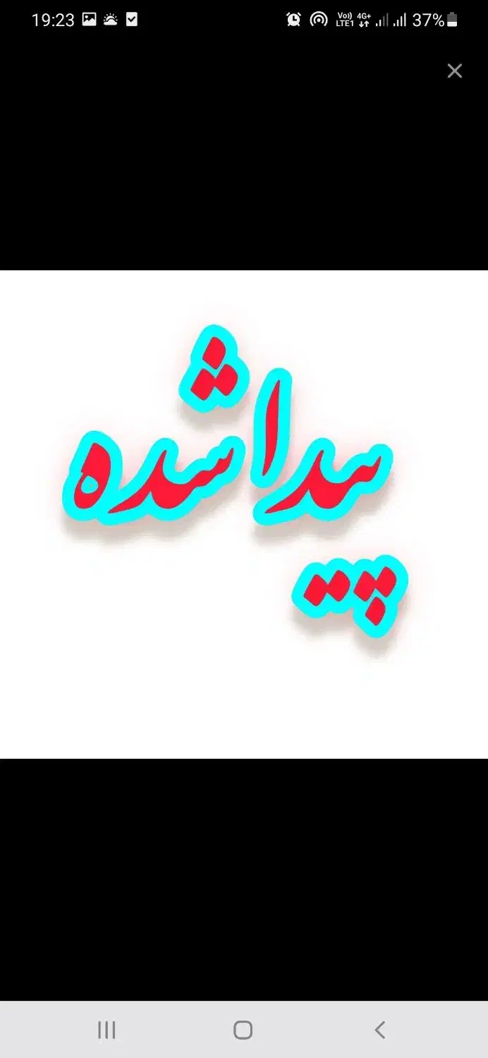 پیدا شده|اشیا|قم, صفاشهر|دیوار