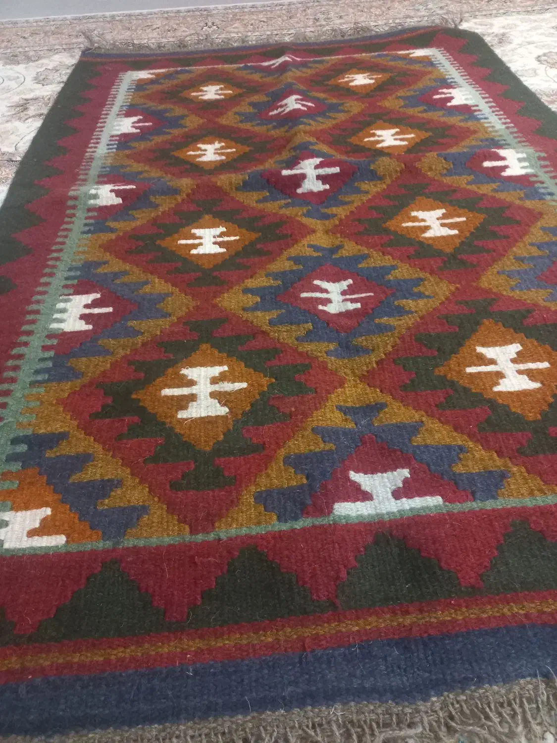 گلیم پشمی زیبا|گلیم، جاجیم، گبه|شیراز, فرگاز|دیوار