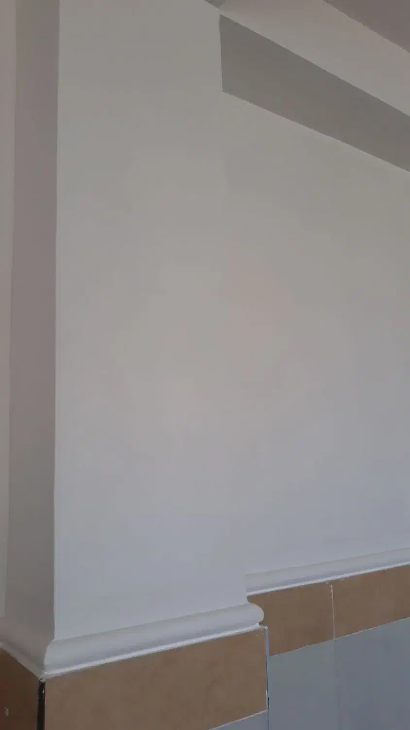 گچ کاری و سفید کاری تعمیرات گچکاری|خدمات پیشه و مهارت|سلماس, |دیوار