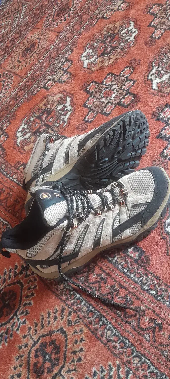 کفش طبیعت گردی|کیف، کفش، کمربند|گنبد کاووس, |دیوار