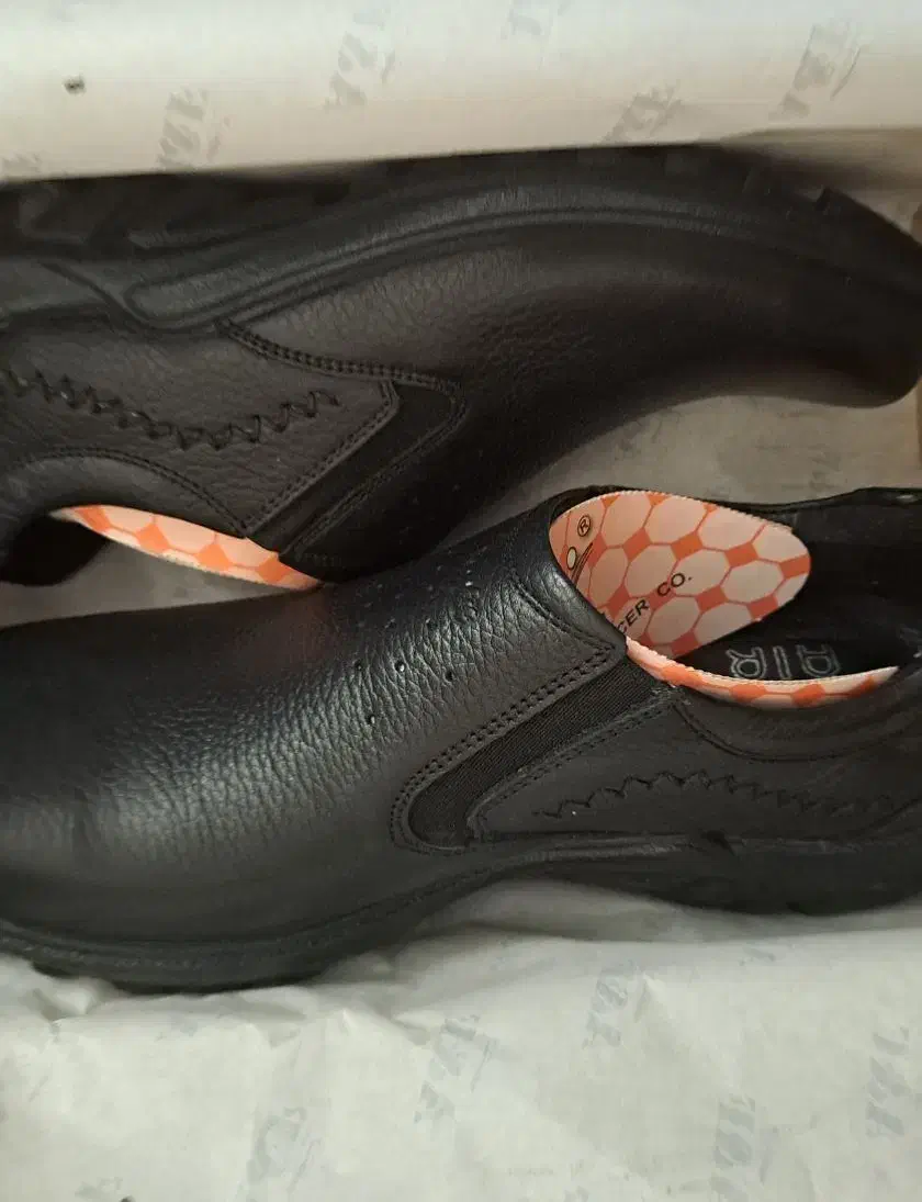 کفش|کیف، کفش، کمربند|یزد, |دیوار