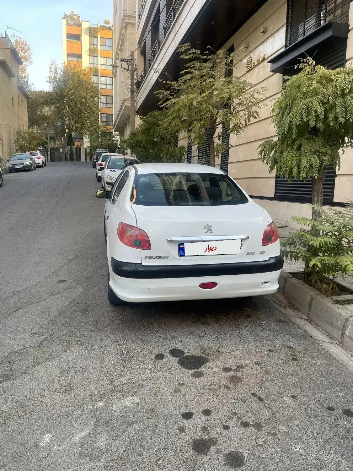 206 sd v8|خودرو سواری و وانت|تهران, لاله زار|دیوار