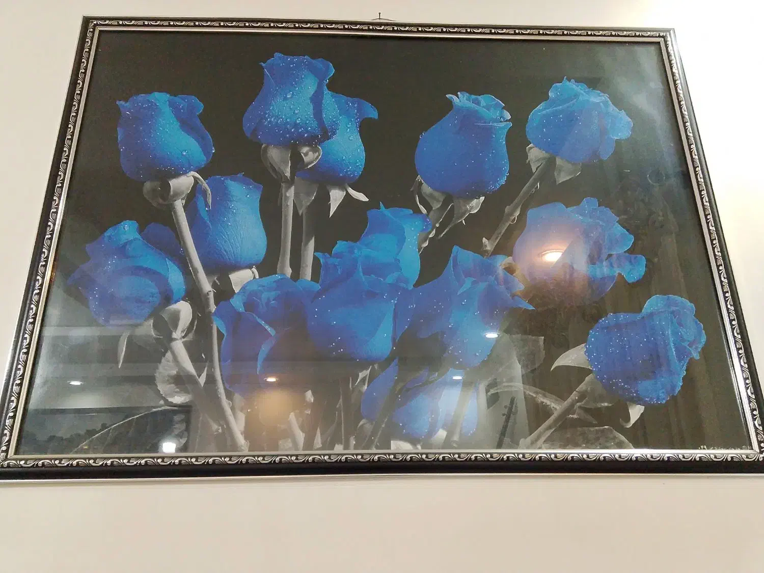 تابلو|تابلو، نقاشی، عکس|تربت‌حیدریه, طالقانی|دیوار