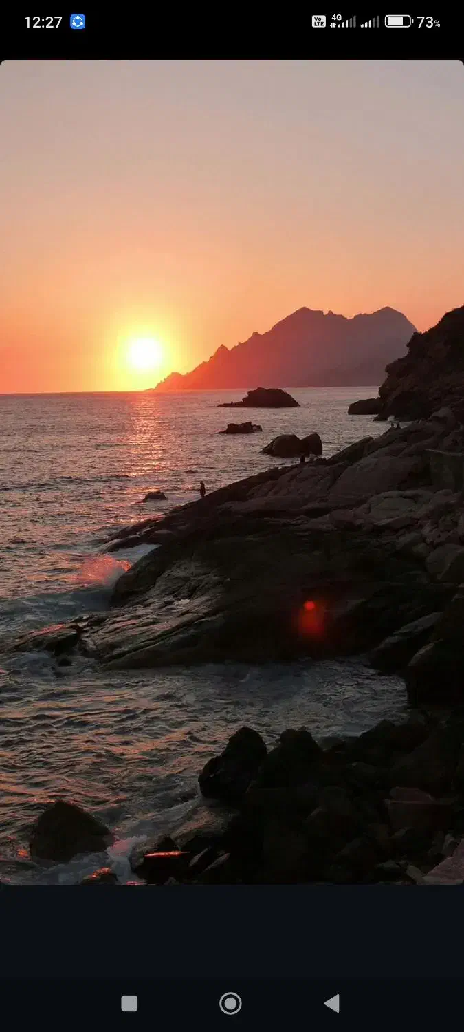 جویای کار|فعالیت داوطلبانه|حمیدیا, |دیوار