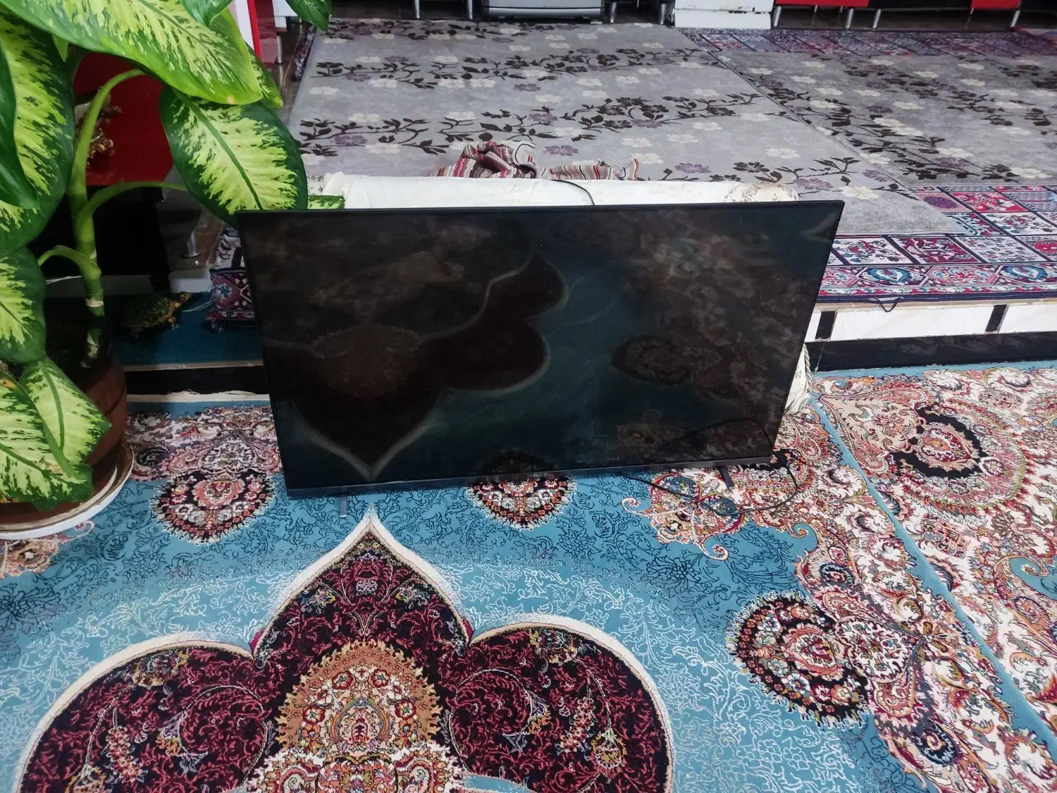 تلوزیون دوو ال سی دی میخواد|تلویزیون و پروژکتور|زرنه, |دیوار