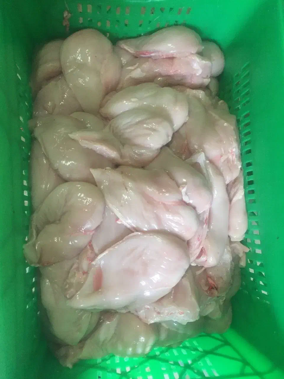 واگذاری تهیه غذا|اجارهٔ مغازه و غرفه|تهران, خانی‌آباد|دیوار