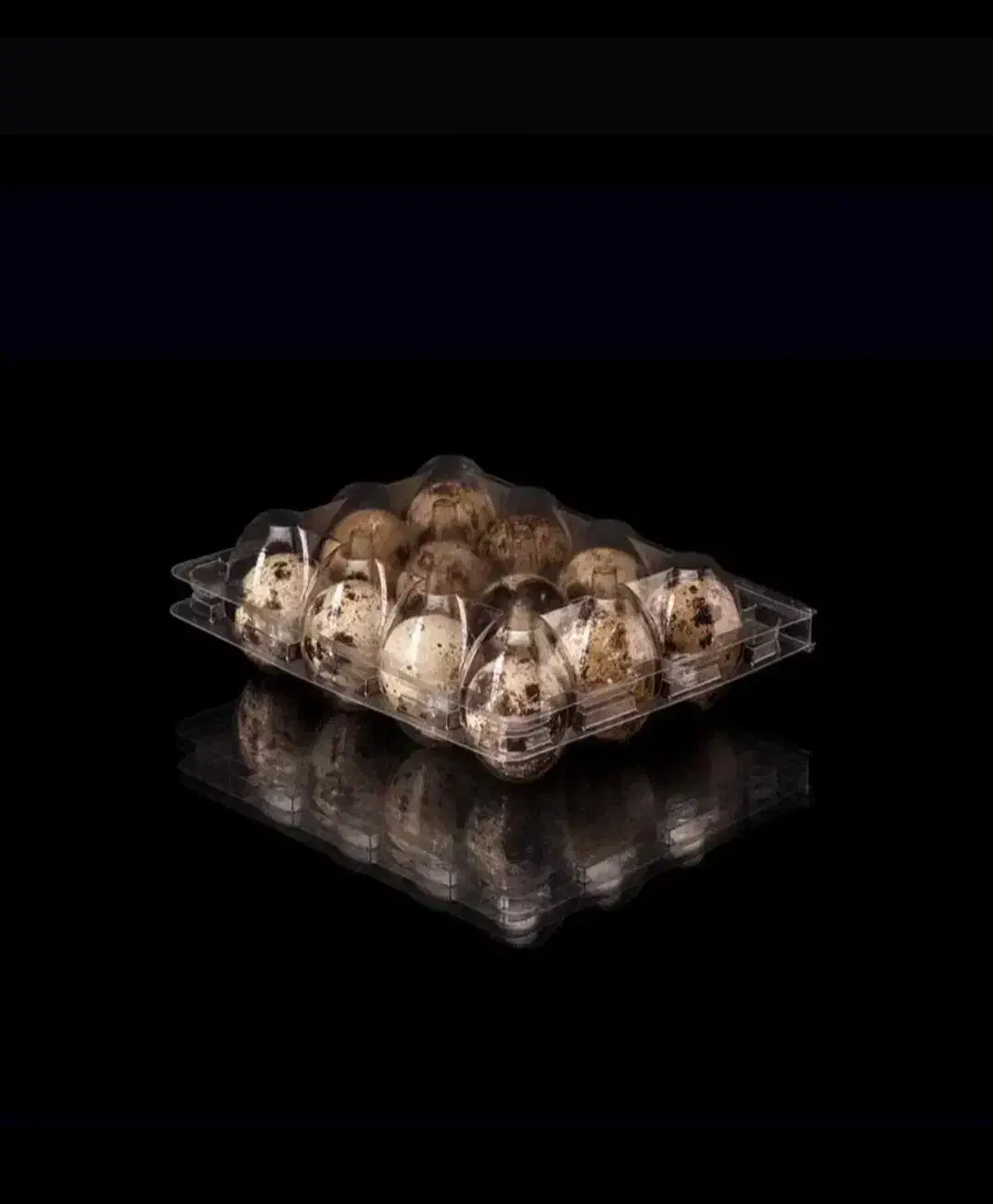 ظرف 12*25*72عددی بلدرچین(سیحون )|ظروف نگهدارنده، پلاستیکی، یک‌بارمصرف|هشتگرد, شهرک ولیعصر (مصلی)|دیوار