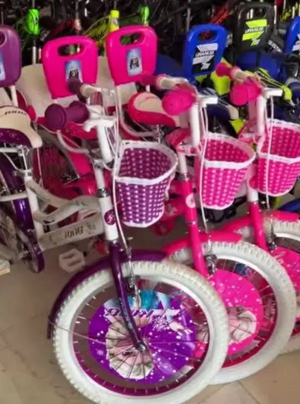 دوچرخه 24|دوچرخه، اسکیت، اسکوتر|کرمان, |دیوار