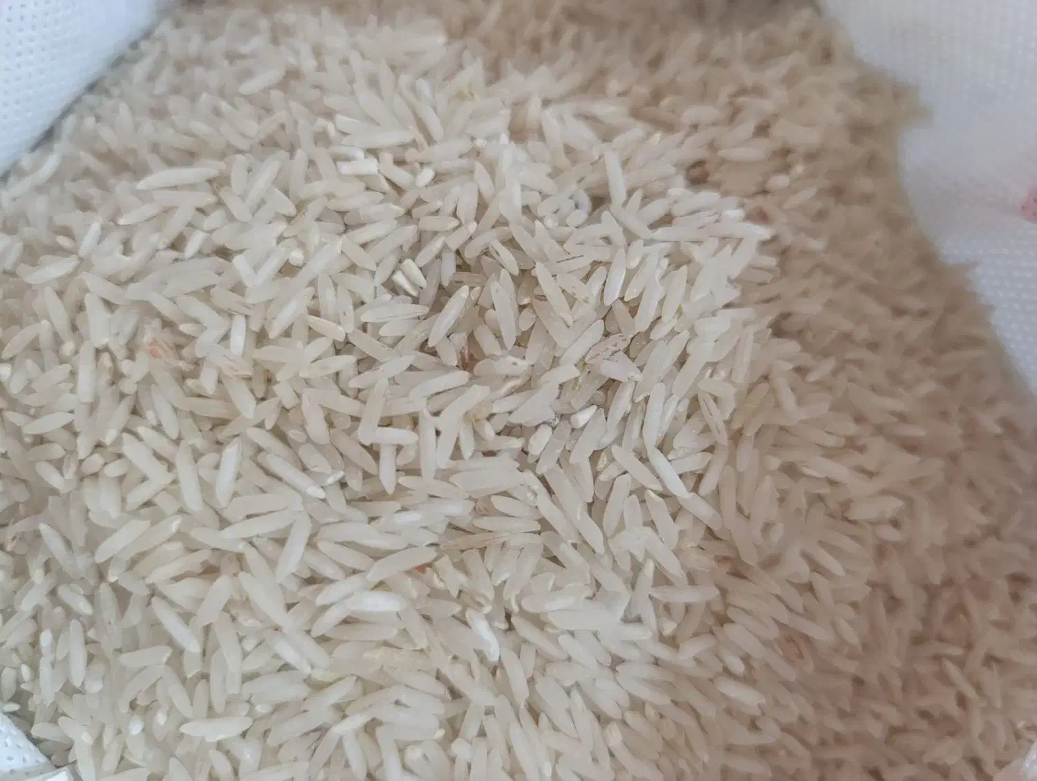 برنج کشت ایرانی|خوردنی و آشامیدنی|کوهدشت, |دیوار