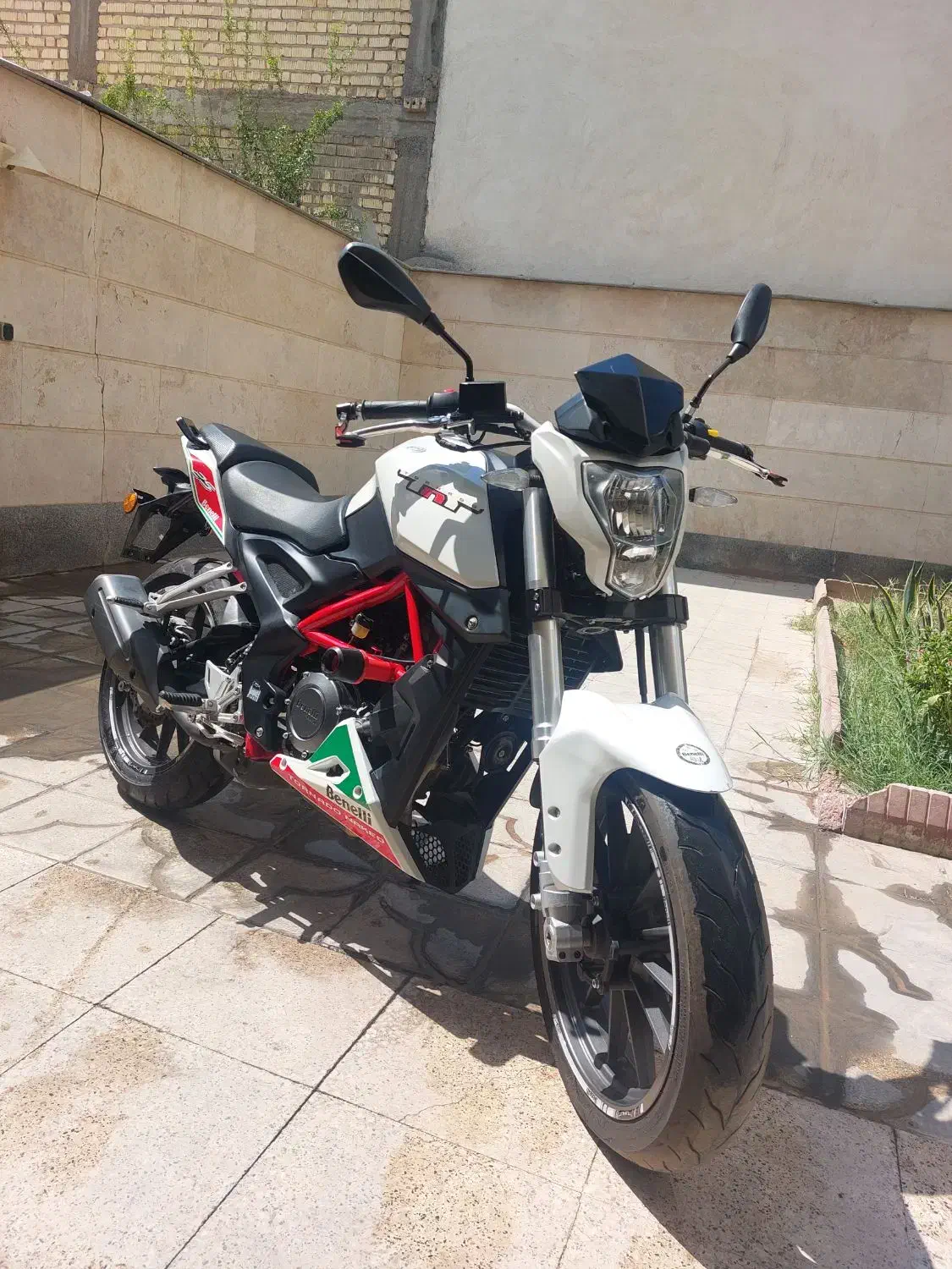 بنلی ۲۵۰ تک در حد خشک ۹۸|موتورسیکلت|شیراز, شهرک ولیعصر|دیوار