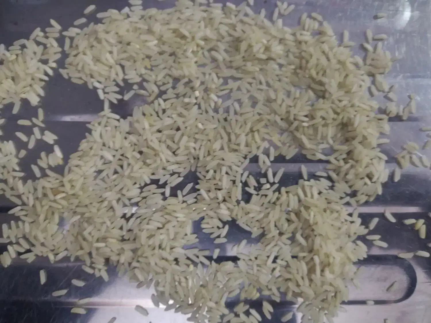 برنج ایرانی فجر|خوردنی و آشامیدنی|مشهد, قائم|دیوار