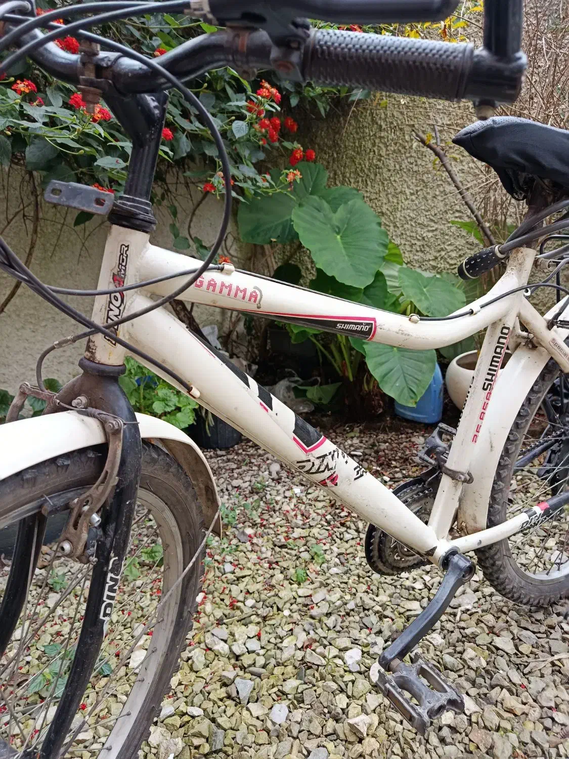 دوچرخه ۲۶|دوچرخه، اسکیت، اسکوتر|عباس‌آباد, |دیوار