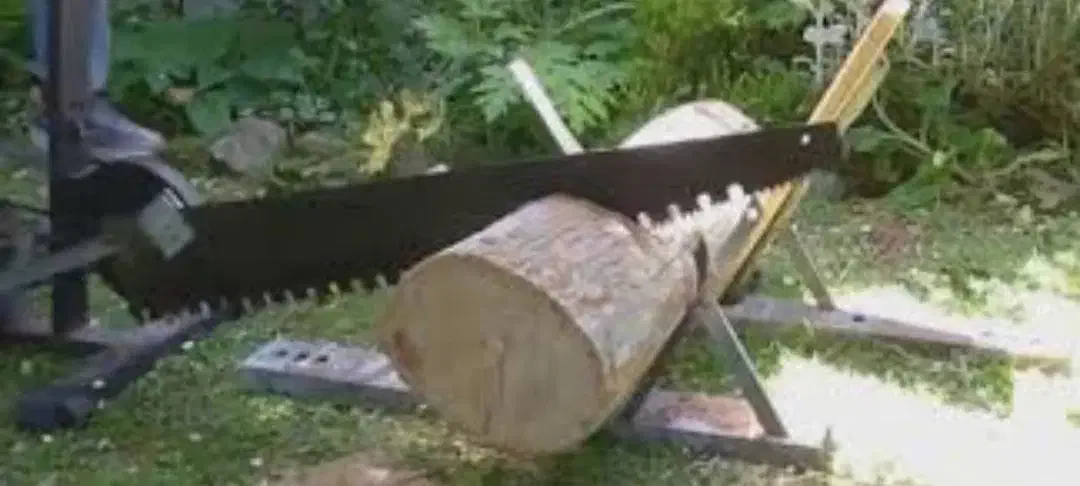 چوب  و هرس|خدمات باغبانی و درختکاری|دورود, |دیوار