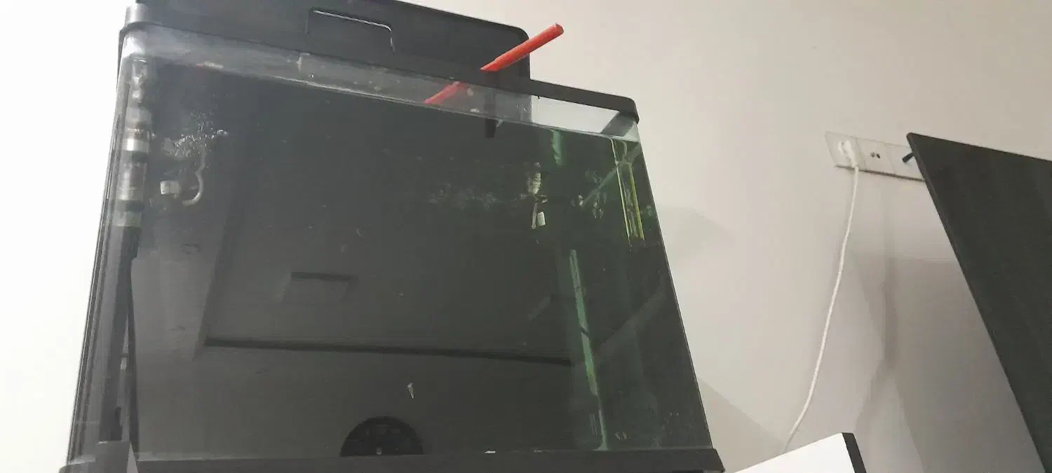 آکواریوم و وسایل|ماهی|گناباد, |دیوار