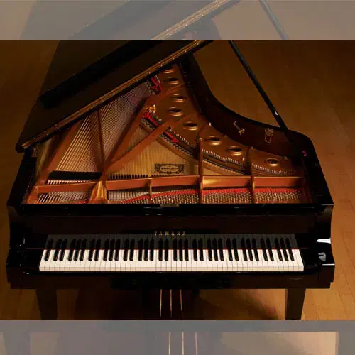 تدریس خصوصی پیانو|خدمات آموزشی|تهران, دبستان|دیوار