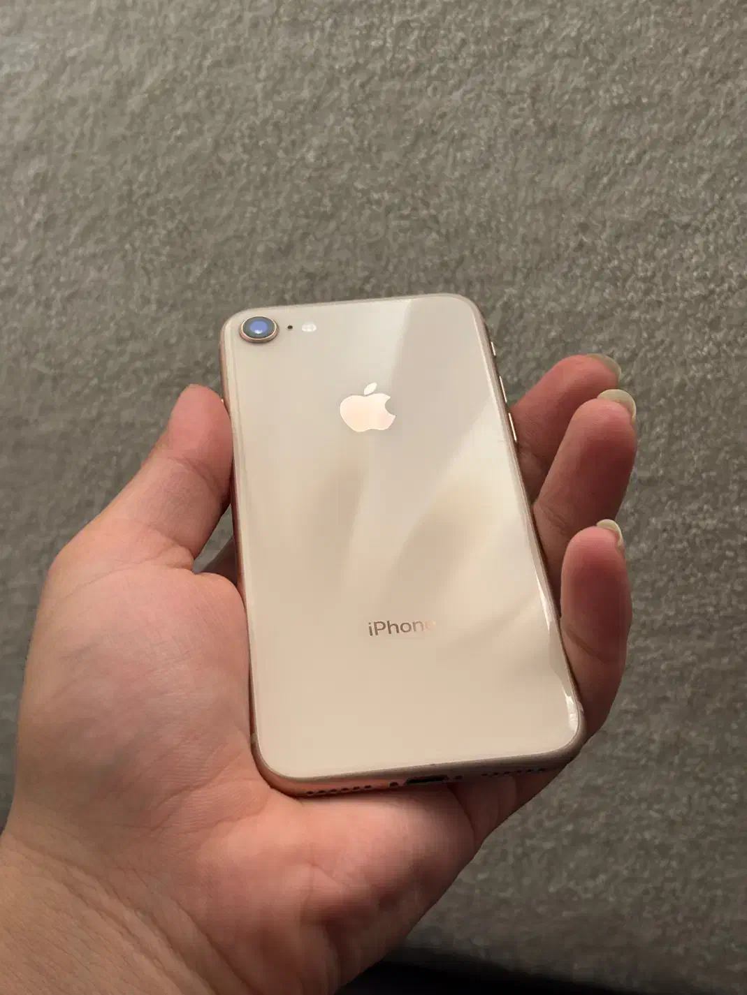 iPhone 8|موبایل|تهران, زعفرانیه|دیوار