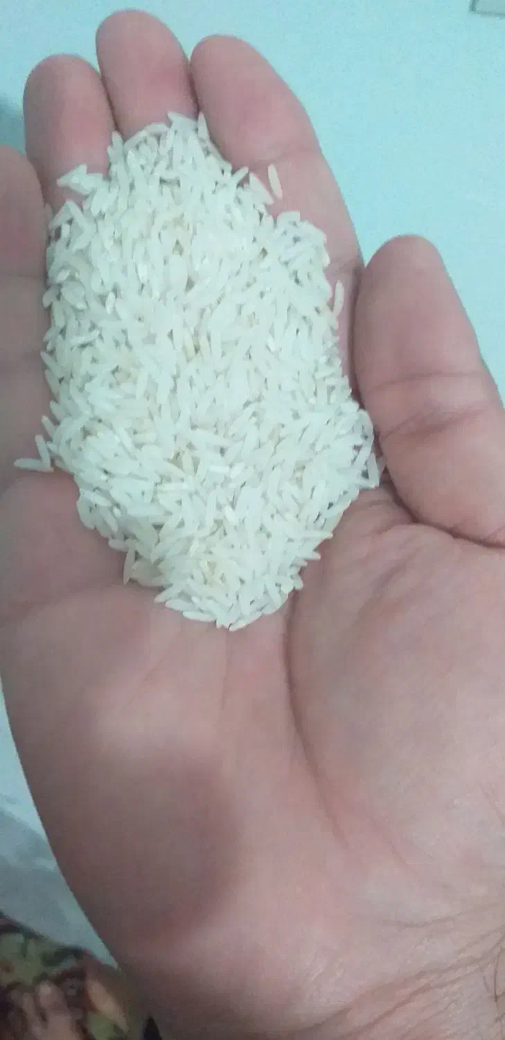 برنج|خوردنی و آشامیدنی|پارس‌آباد, |دیوار