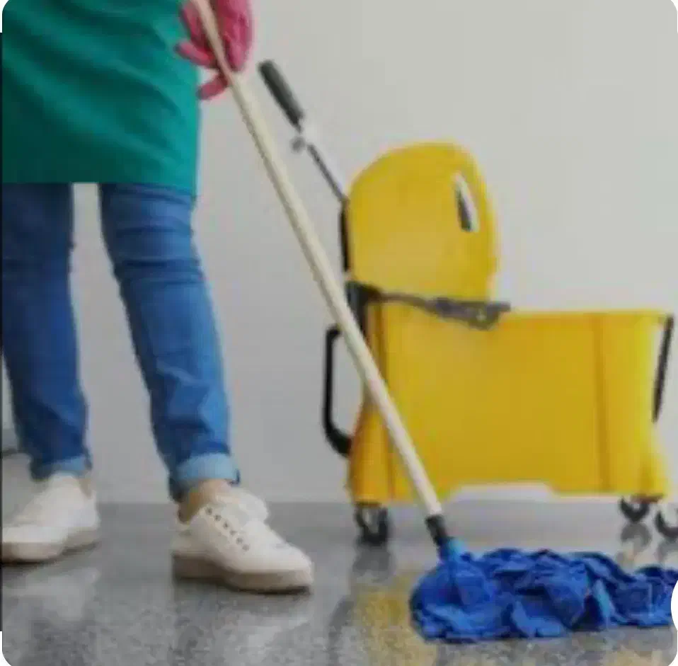 نظافتچی خانم|خدمات نظافت|کیش, |دیوار