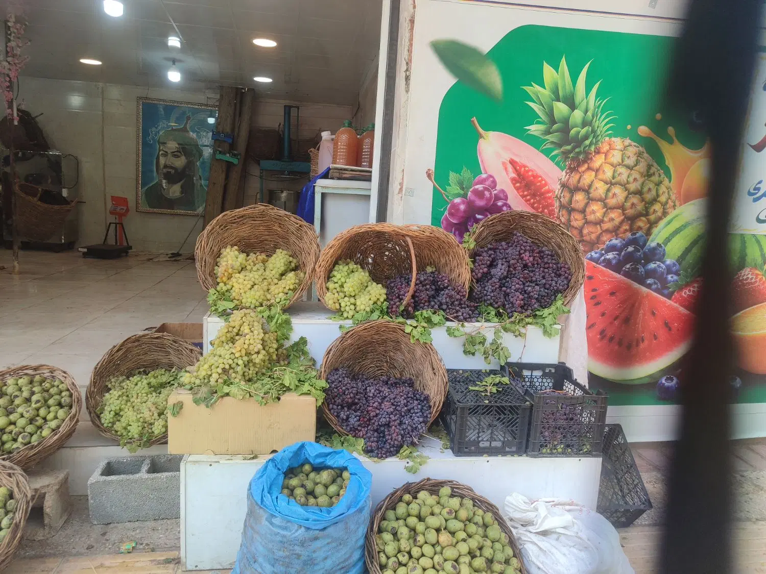 گردو و بادام پوست کنی حرفه ای سفید سفید بدون آب|خدمات باغبانی و درختکاری|شیراز, فرهنگ شهر|دیوار