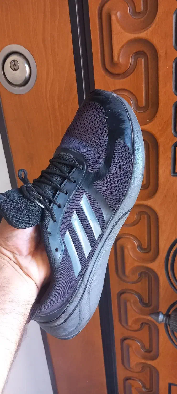 کفش اسپرت آدی داس|کیف، کفش، کمربند|قره ضیاالدین, |دیوار