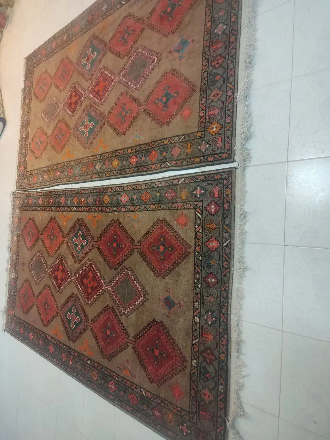 قالی پشم در پشم قدیمی ترکی دست بافت|فرش|شهرضا, |دیوار