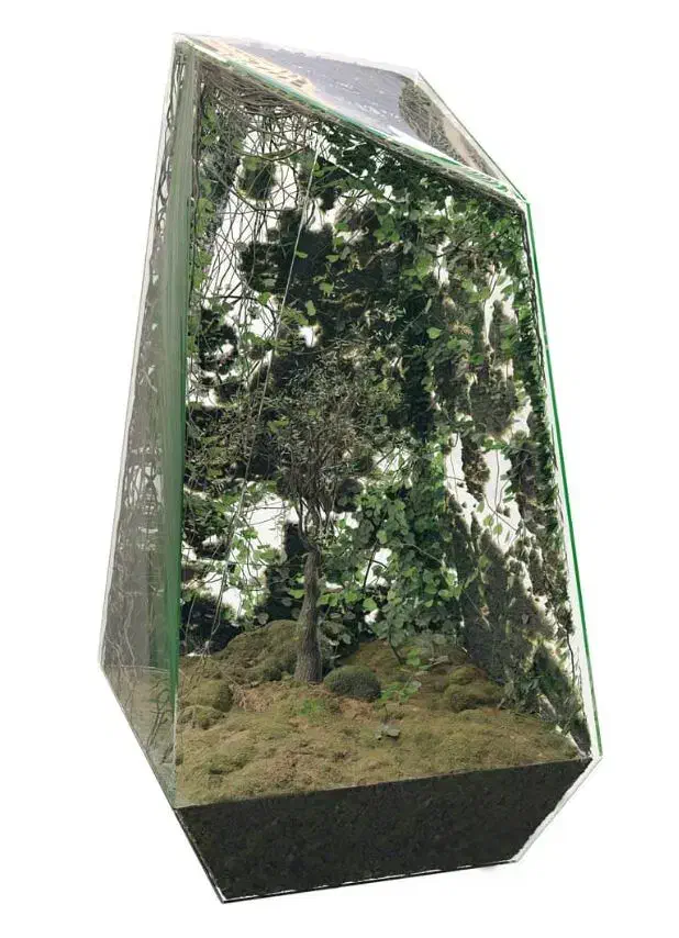 آموزش برنامه 3ds max و مدل سازی|خدمات آموزشی|ایلام, |دیوار