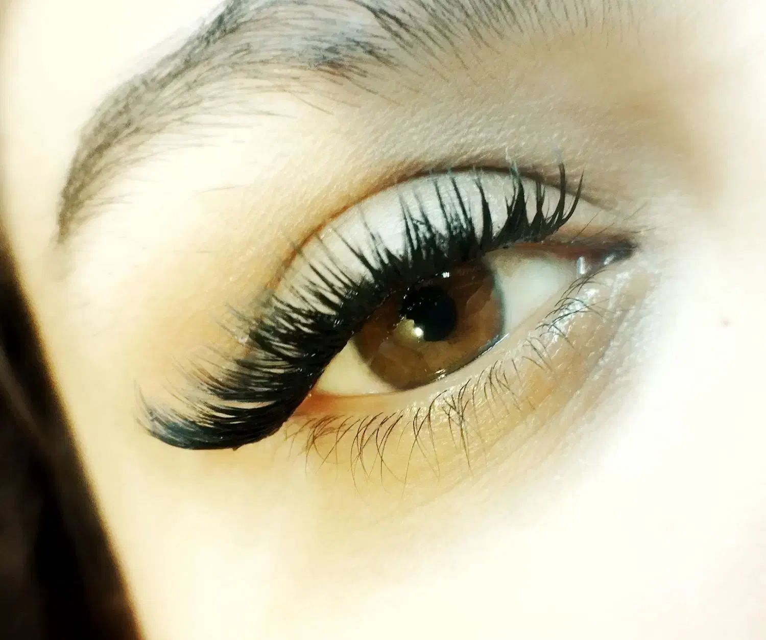 فقط کاشت مژه هیدن|خدمات آرایشگری و زیبایی|اصفهان, ملکشهر|دیوار