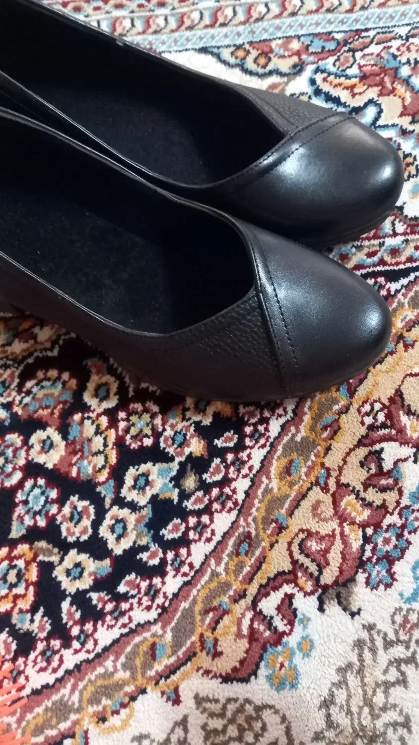 کفش زنانه|کیف، کفش، کمربند|کاشان, زیارتی|دیوار