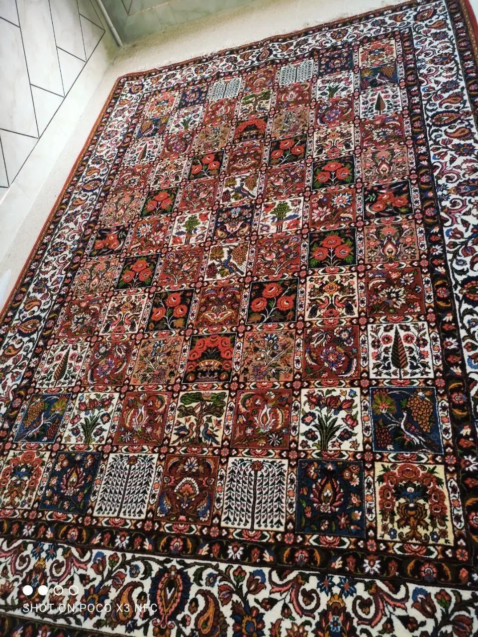 قالی دستبافت شهرکرد|فرش|شهرکرد, |دیوار