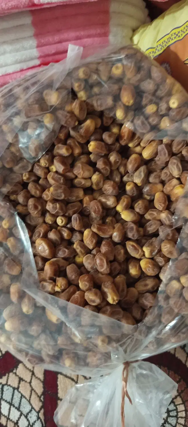 قصب|خوردنی و آشامیدنی|بوشهر, |دیوار