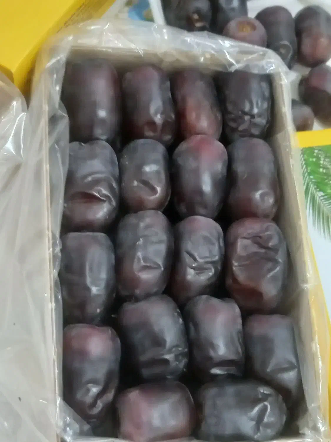 مقداری خرمای رطب|حراج|بم, |دیوار