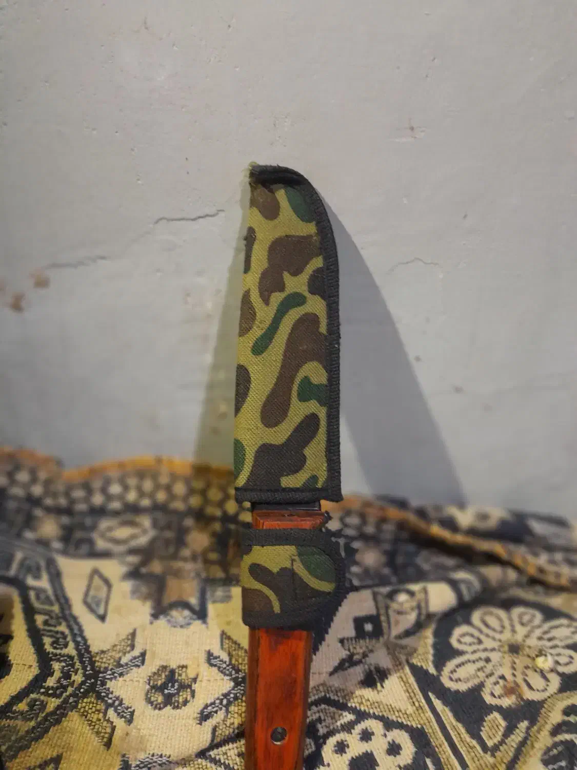 کبوتر معاوضه|کلکسیون و سرگرمی|گنبد کاووس, |دیوار