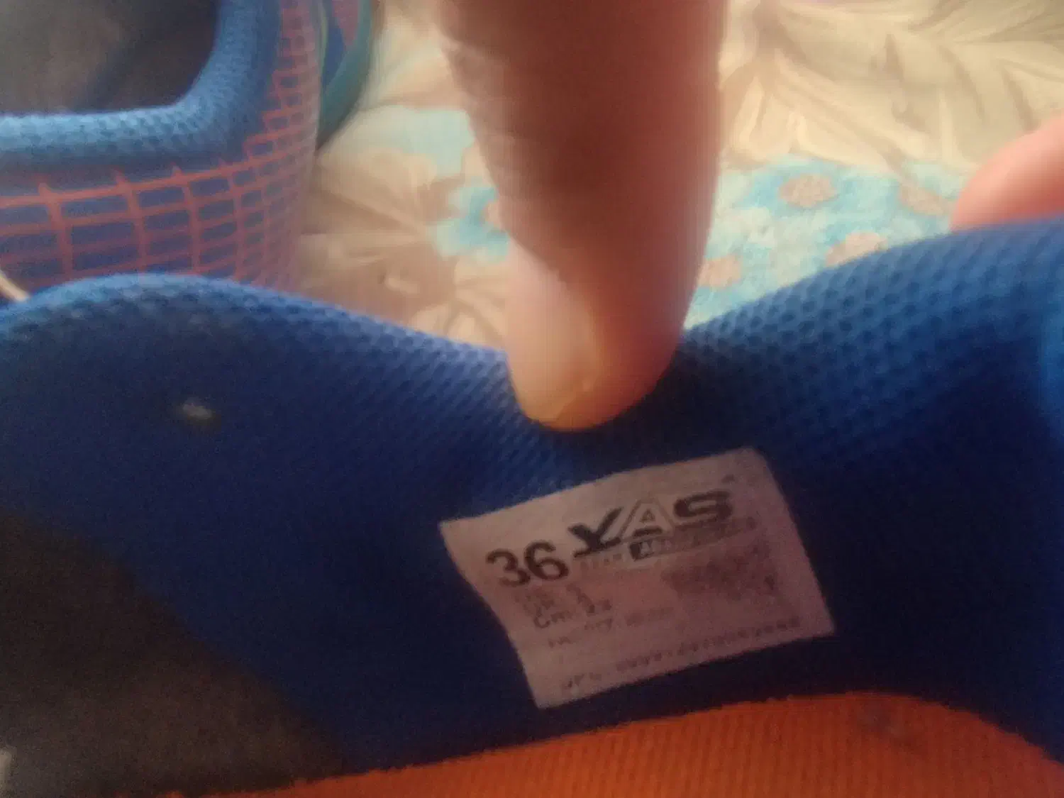 کفش سالن|کیف، کفش، کمربند|تربتحیدریه, کوه سنگی|دیوار