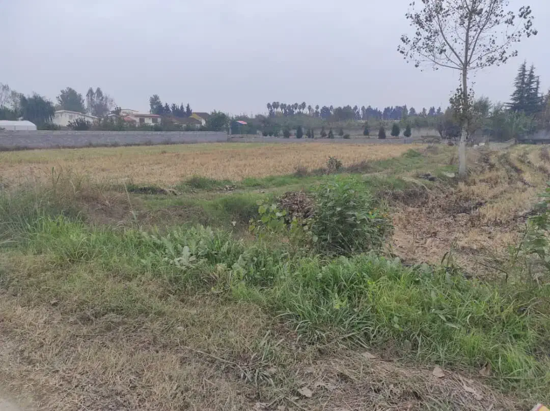 علف تراشی و قطع درخت|خدمات باغبانی و درختکاری|سلمان‌شهر, |دیوار