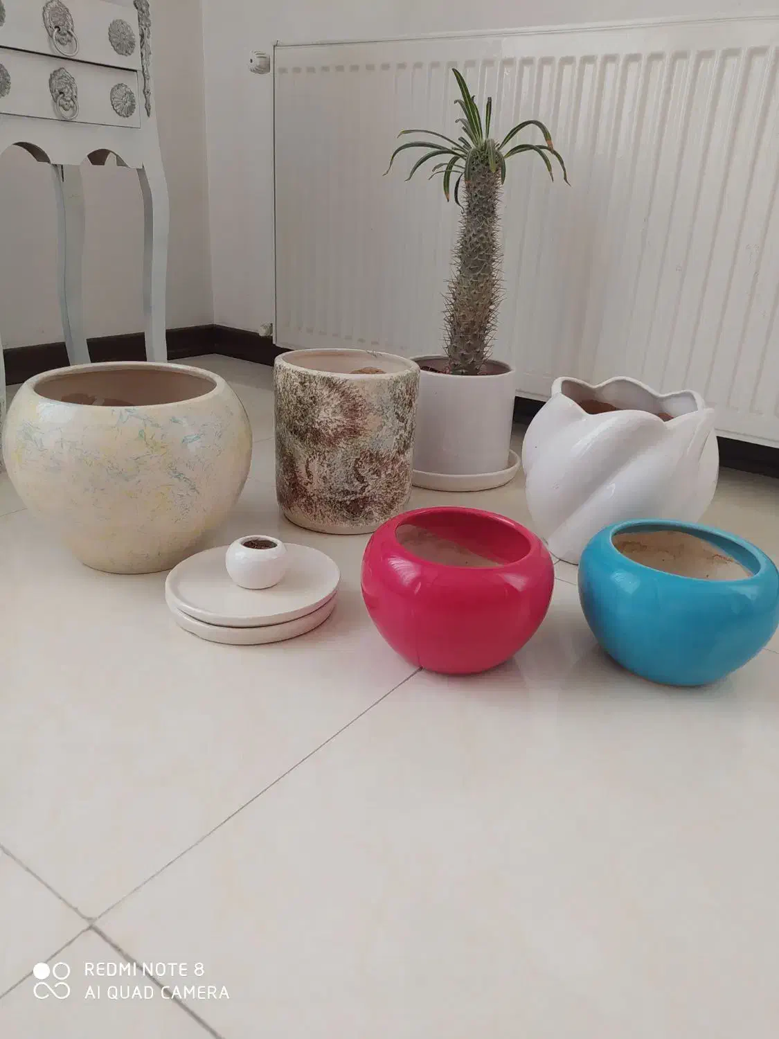 گلدان|گل و گیاه طبیعی|کرج, شهرک امیر المومنین|دیوار