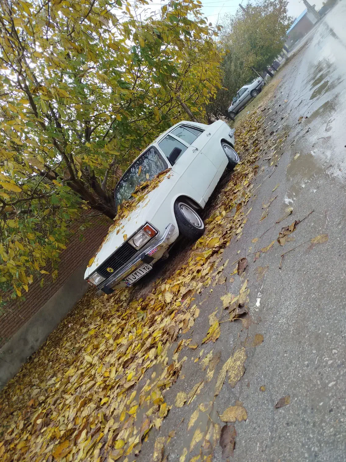 پیکان مدل ۷۹ کف خواب|خودرو سواری و وانت|بناب, |دیوار