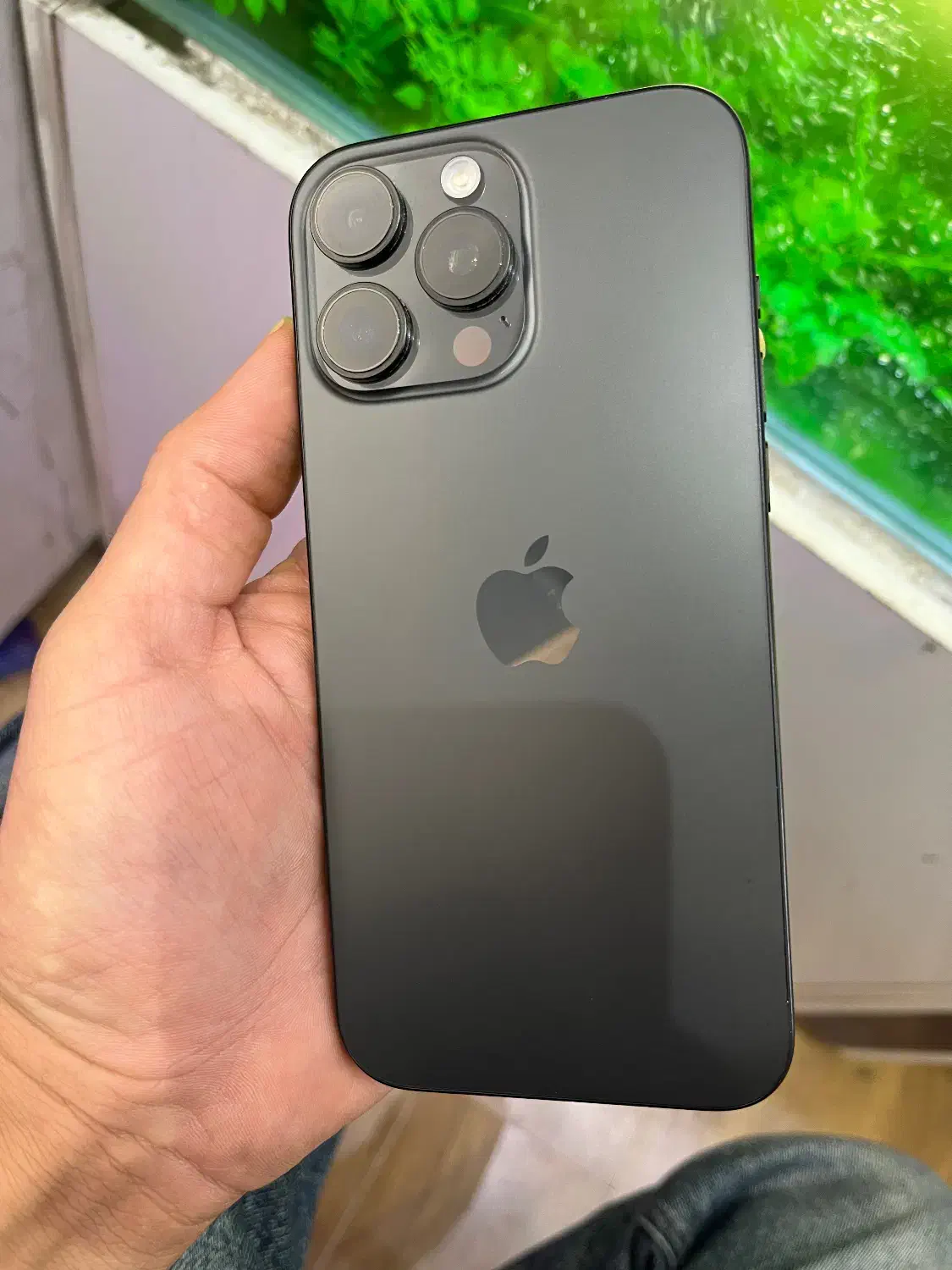 15pro max zaa|موبایل|مرودشت, ژیان|دیوار