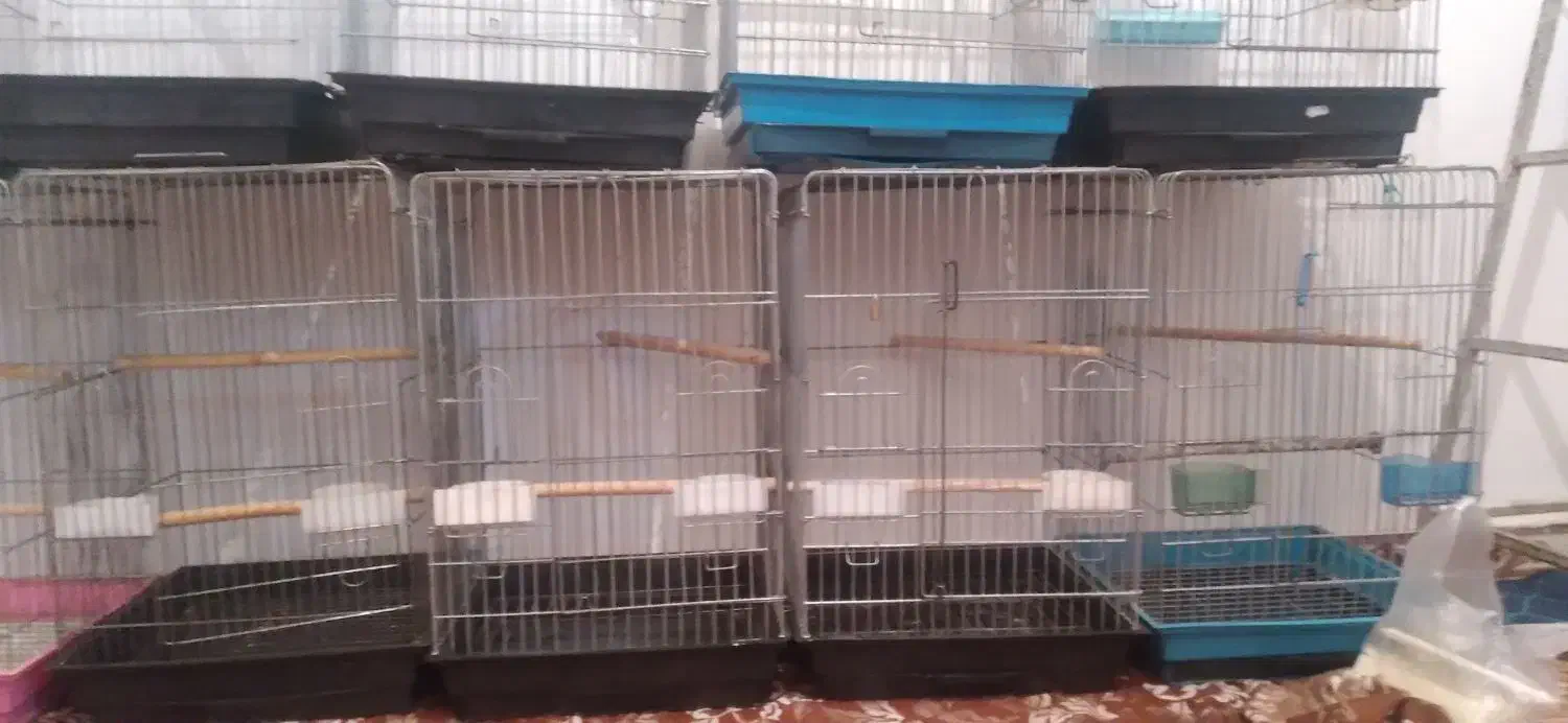 قفس ۱۰۳۳|لوازم جانبی حیوانات|مشکیندشت, |دیوار