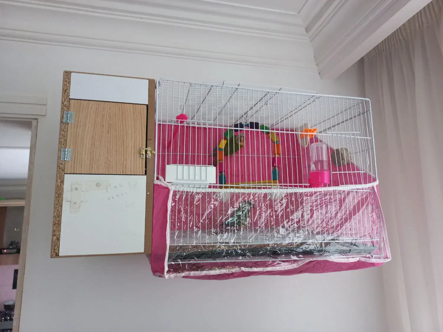 مولد گرینچیک و کتوله تضمینی|پرنده|مشهد, ویلاشهر|دیوار