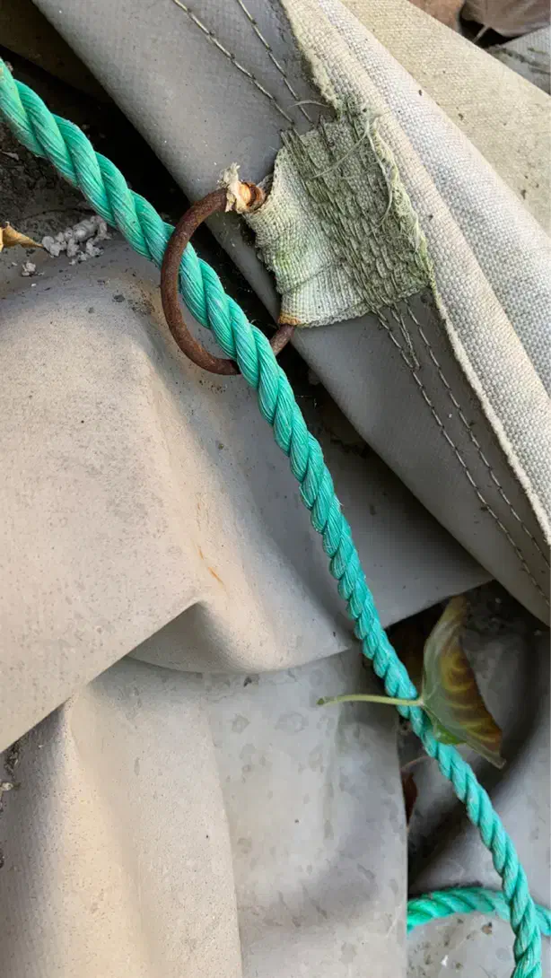 برزنت کانتینری درجه یک ۶ در ۵ زیر قیمت|مصالح و تجهیزات ساختمان|نکا, |دیوار