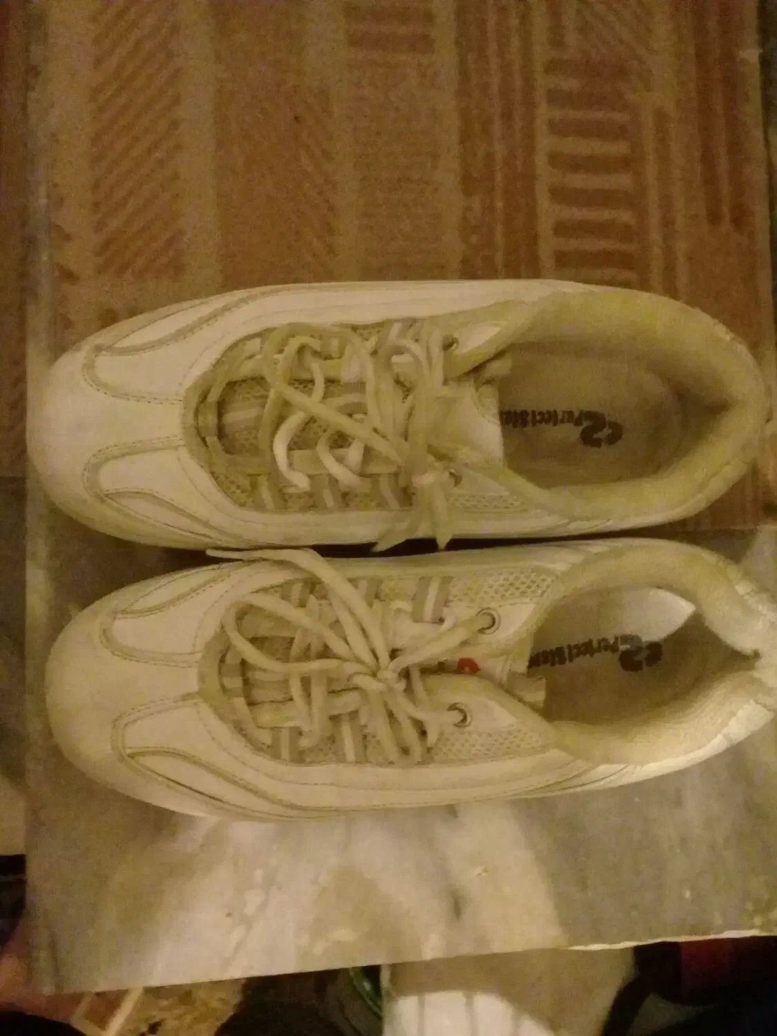 کفش|کیف، کفش، کمربند|اردبیل, |دیوار