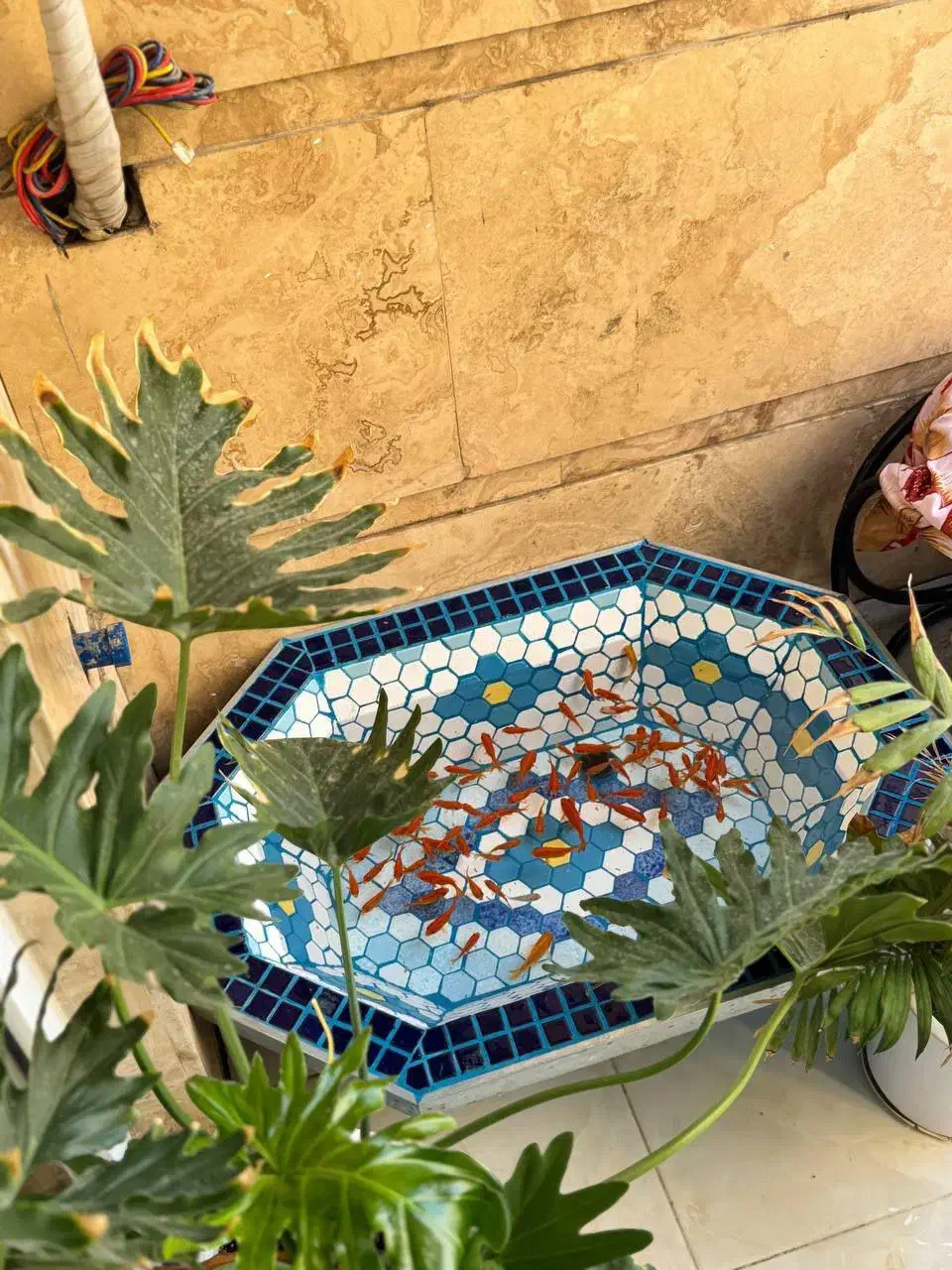 آبنما و حوض و منقل مجلل|مصالح و تجهیزات ساختمان|قم, کوه سفید|دیوار