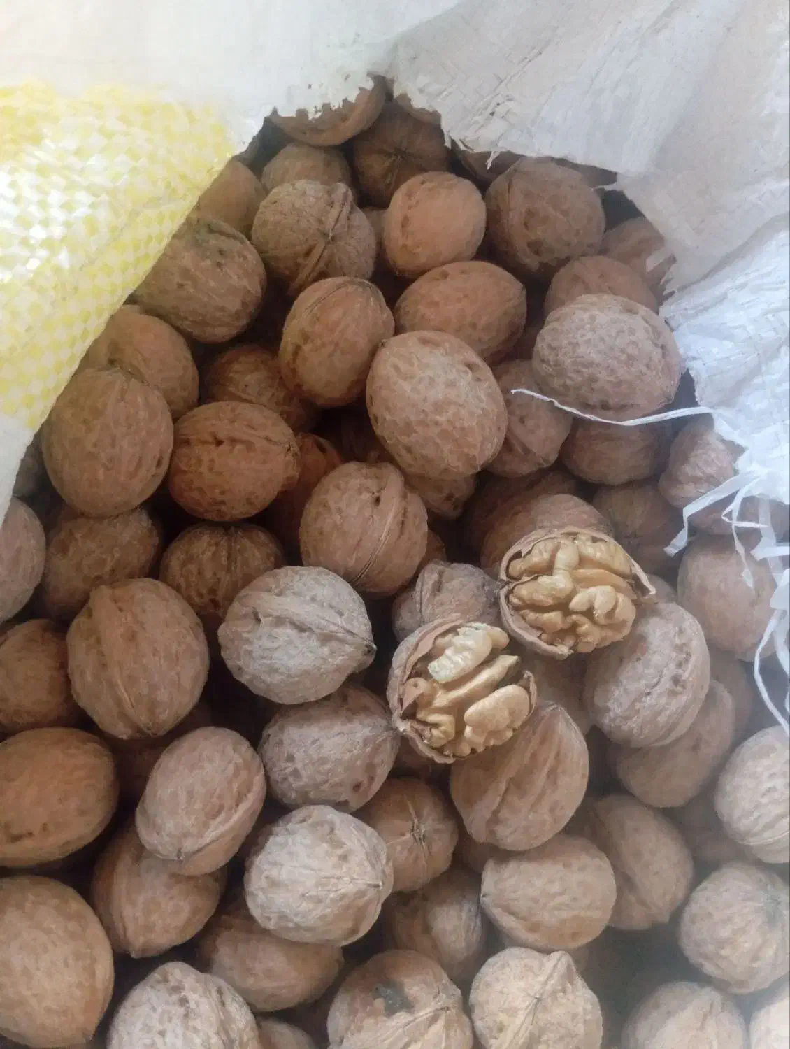 گردوی در حه یک|خوردنی و آشامیدنی|قیدار, |دیوار